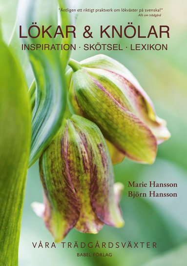 bokomslag Lökar & knölar : inspiration, skötsel, lexikon