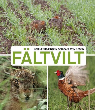 Poul-Erik Jensen, Carl von Essen - Fältvilt, Häftad