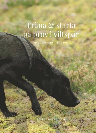 bokomslag Träna och starta på prov i viltspår : nybörjarens handbok