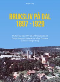 bokomslag Bruksliv på Dal