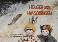 bokomslag Holger och havsöringen