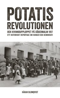 bokomslag Potatisrevolutionen och kvinnoupploppet på Södermalm 1917 Ett historiskt re
