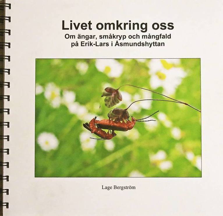 Livet omkring oss : om ängar, småkryp och mångfald på Erik-Lars i Åsmundshyttan 1