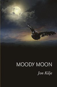 bokomslag Moody moon