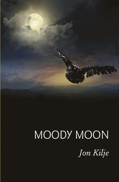 bokomslag Moody moon