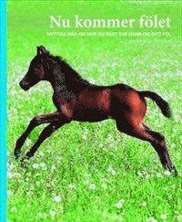 Ann Svärding - Nu kommer fölet : nyttiga råd om hur du bäst tar hand om ditt föl, Häftad