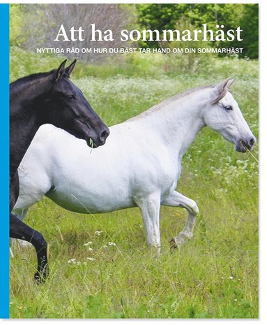 bokomslag Att ha sommarhäst