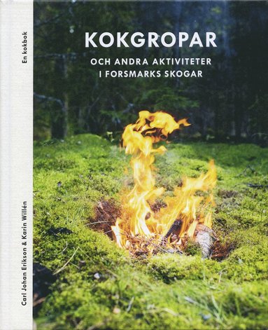 bokomslag Kokgropar och andra aktiviteter i Forsmarks skogar