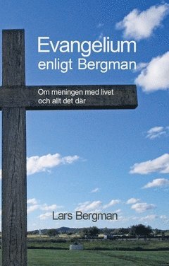 bokomslag Evangelium enligt Bergman : Om meningen med livet och allt det där
