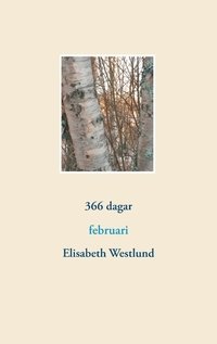 bokomslag 366 dagar : februari