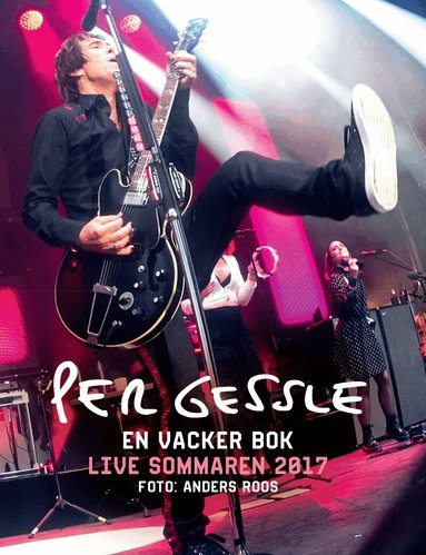 Per Gessle, Anders Roos - En vacker bok, Häftad