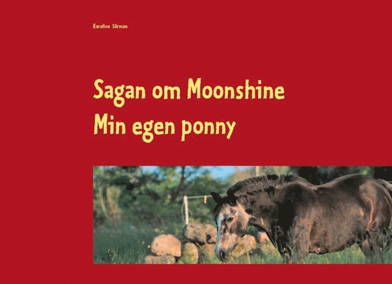 Sagan om Moonshine : min egen ponny 1