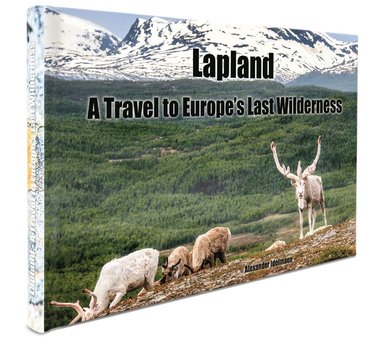 bokomslag Lapland : a travel to Europe's last wilderness