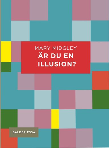 bokomslag Är du en illusion?