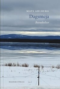 bokomslag Dagsmeja