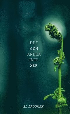 Det som andra inte ser