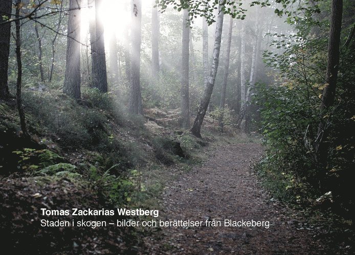 Staden i skogen : bilder och berättelser från Blackeberg