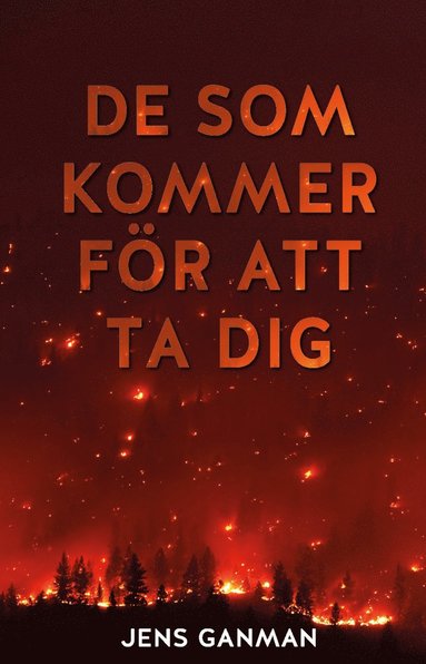 bokomslag De som kommer för att ta dig