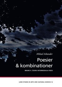 bokomslag Poesier & kombinationer