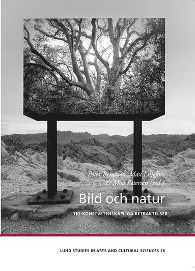 bokomslag Bild och natur