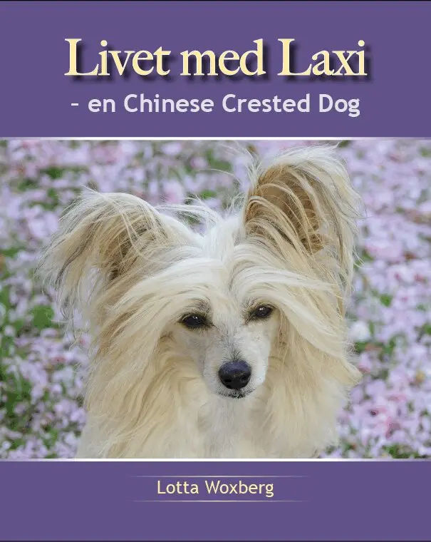 Livet med Laxi : en chinese crested dog