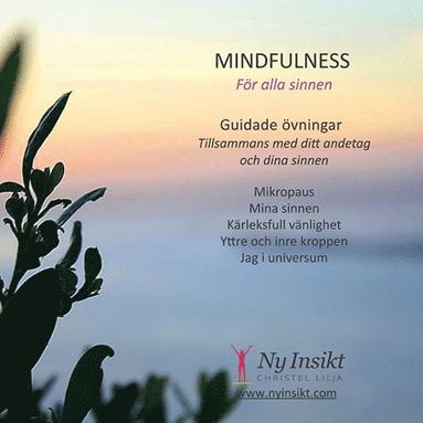 bokomslag Mindfulness : för alla sinnen