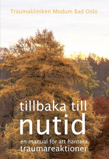 bokomslag Tillbaka till nutid