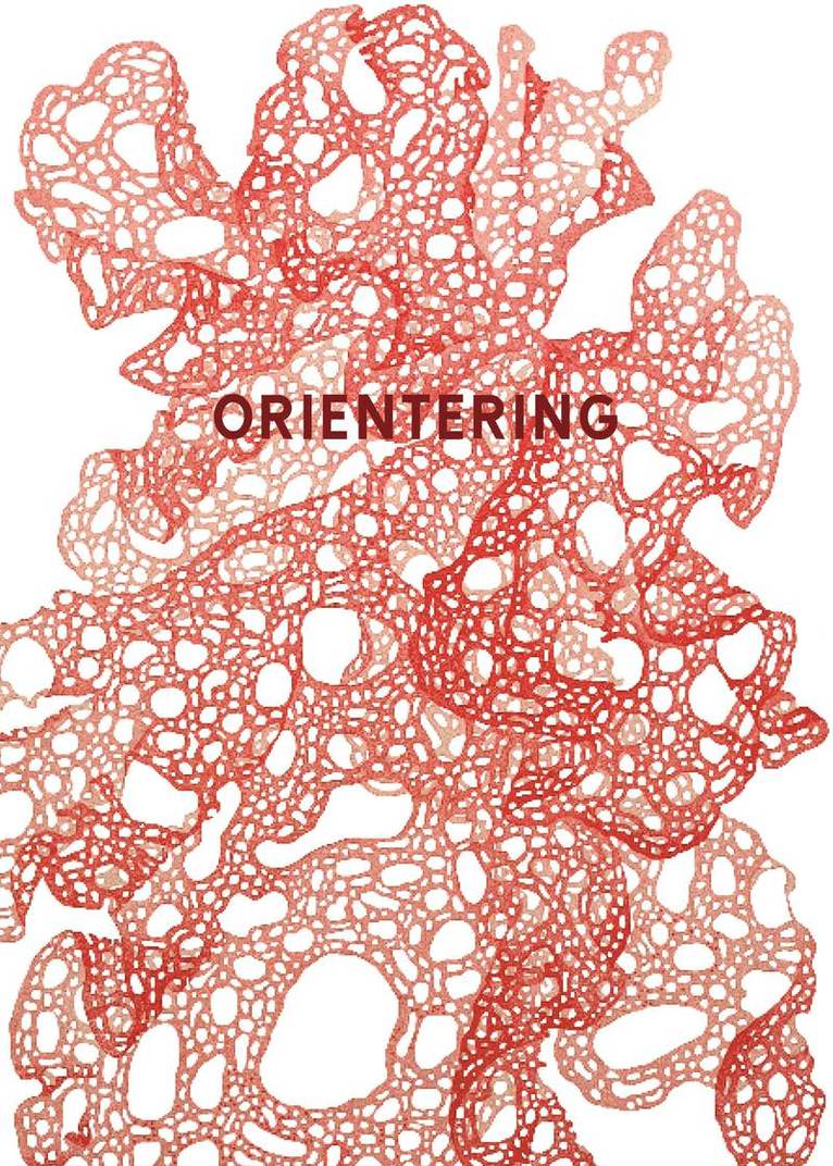 Emilia Alvarez, Arvid Boström, Hans Carlsson, Nino Forss, Nadja Gollbo, Frej Haar, Li Kristjansdottir, Joel Larsson, Jorunn Lavonius, Nora Madsen, Elsa Meyer, Nanna Mikkelsen, Mona Monasar, Hilma Olsson, Lisa Quartey, Hillevi Ringgren, Kebron Tesfamikael, Jelena Wikberg, David Östberg - Orientering.  Skurups skrivarlinje 2021, Häftad