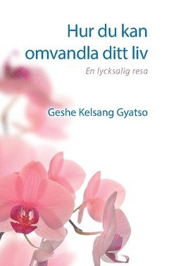 Hur du kan omvandla ditt liv : en lycksalig resa