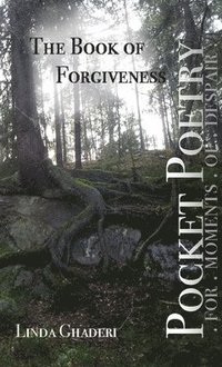 bokomslag The Book of Forgiveness