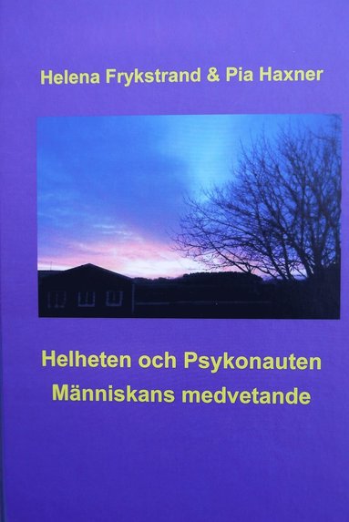 bokomslag Helheten och Psykonauten : människans medvetande