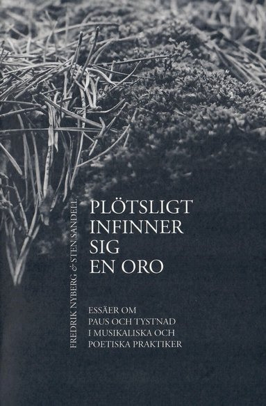Fredrik Nyberg, Sten Sandell - Plötsligt infinner sig en oro : essäer om paus och tystnad i musikaliska och poetiska praktiker, Häftad