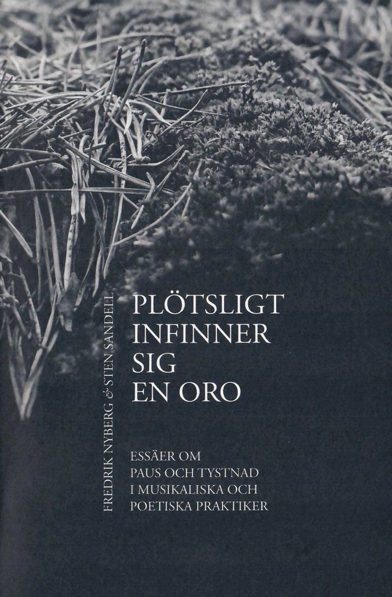 Plötsligt infinner sig en oro : essäer om paus och tystnad i musikaliska och poetiska praktiker 1