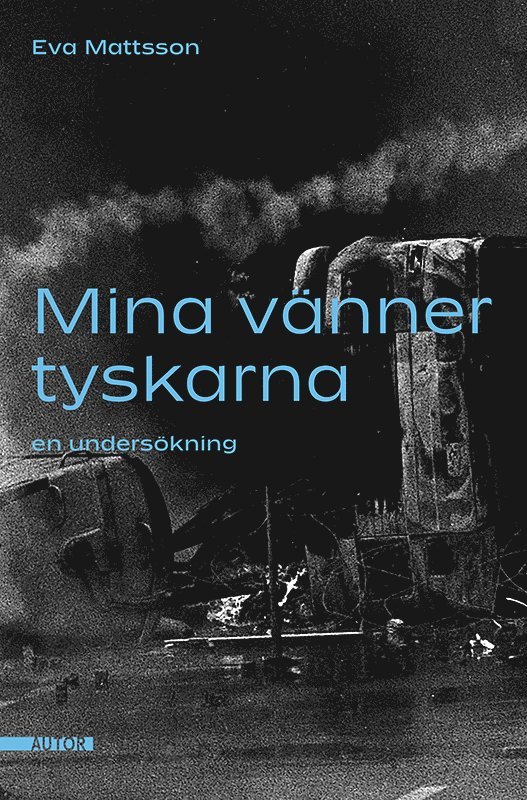 Mina vänner tyskarna : en undersökning
