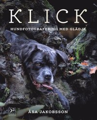 bokomslag Klick : hundfotografering med glädje