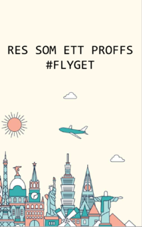 bokomslag Res som ett proffs #Flyget