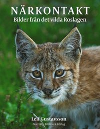 bokomslag Närkontakt : bilder från det vilda Roslagen