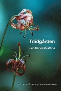bokomslag Trädgården - en kärlekshistoria