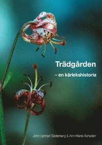 bokomslag Trädgården : En kärlekshistoria