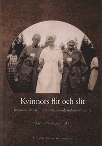 bokomslag Kvinnors flit och slit