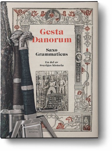 bokomslag Gesta Danorum : en del av Sveriges historia