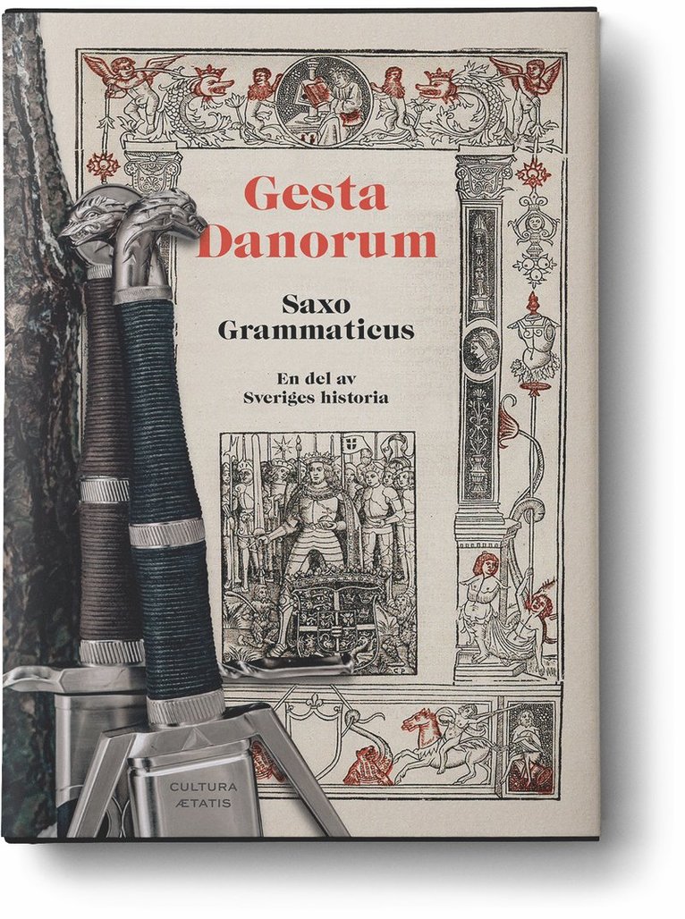 Gesta Danorum : en del av Sveriges historia 1