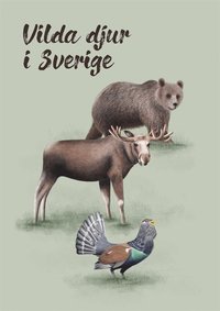bokomslag Vilda djur i Sverige