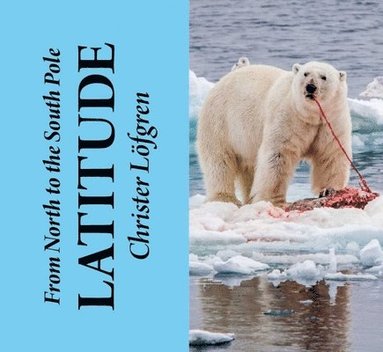bokomslag Lofgren, C: From the North to the South Pole - Latitude