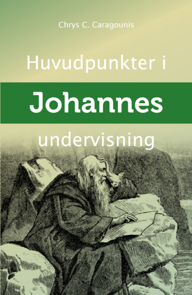 bokomslag Huvudpunkter i Johannes undervisning