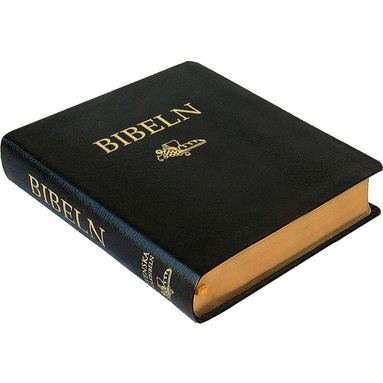 Anteckningsbibel i svart cabraskinn, Inbunden
