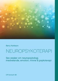 bokomslag Neuropsykoterapi : Sex essäer om neuropsykologi, medvetande, emotion, minne