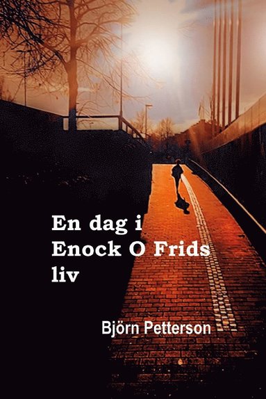 bokomslag En dag i Enock O Frids liv