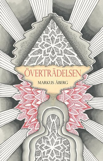 Markus Åberg - Överträdelsen, Häftad