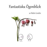 bokomslag Fantastiska ögonblick